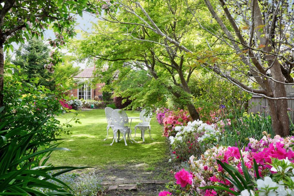 Winston Cottage At Three Sisters Katoomba Ngoại thất bức ảnh