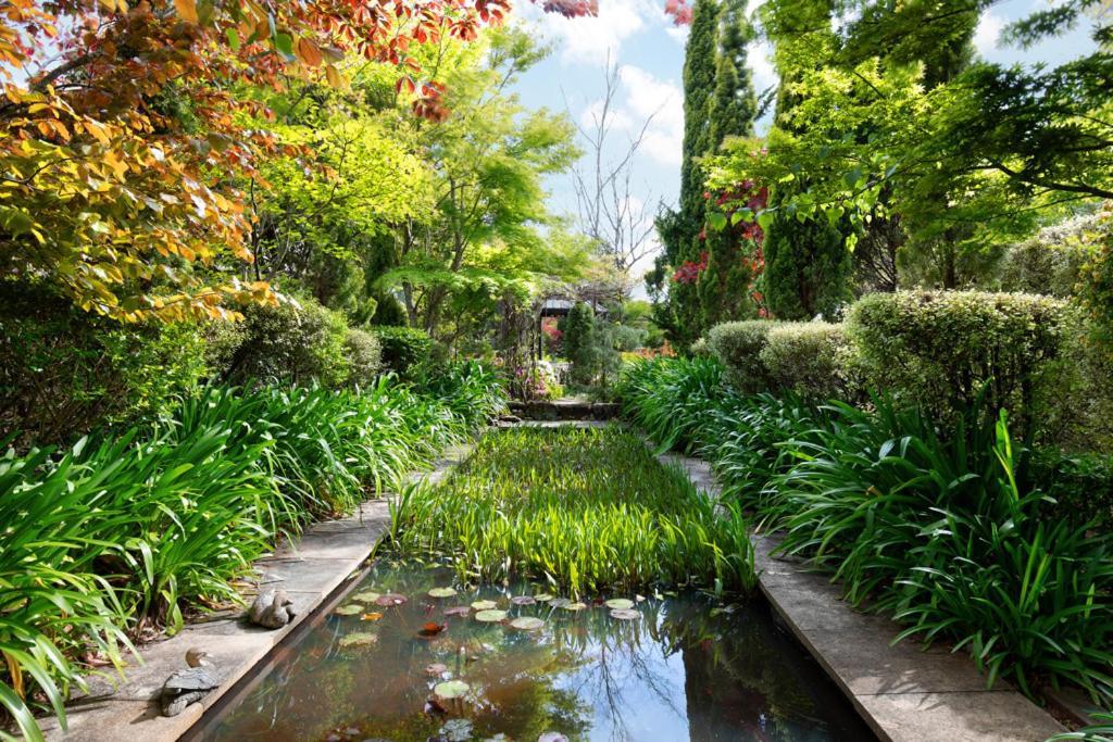 Winston Cottage At Three Sisters Katoomba Ngoại thất bức ảnh