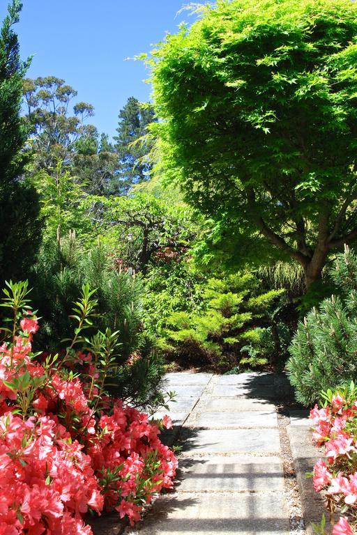 Winston Cottage At Three Sisters Katoomba Ngoại thất bức ảnh