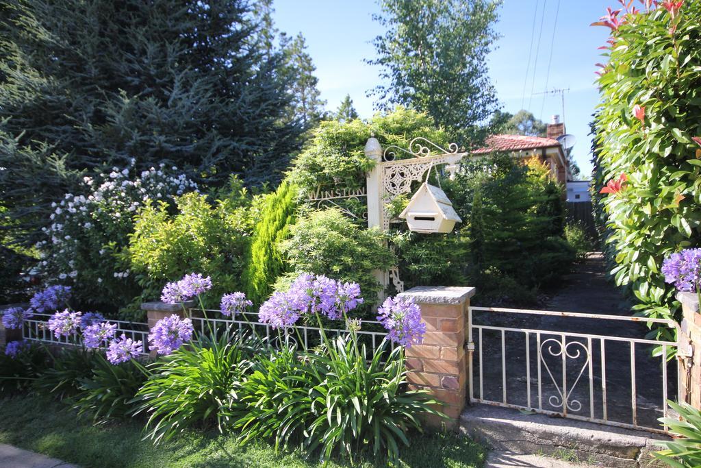 Winston Cottage At Three Sisters Katoomba Ngoại thất bức ảnh