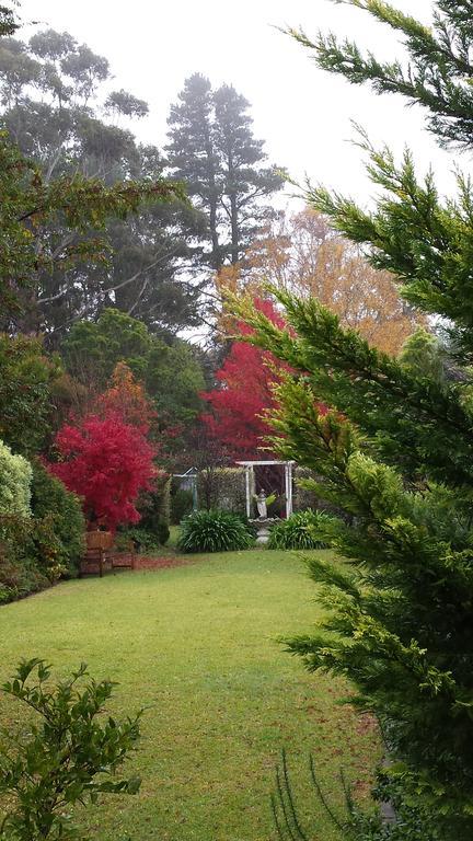 Winston Cottage At Three Sisters Katoomba Ngoại thất bức ảnh